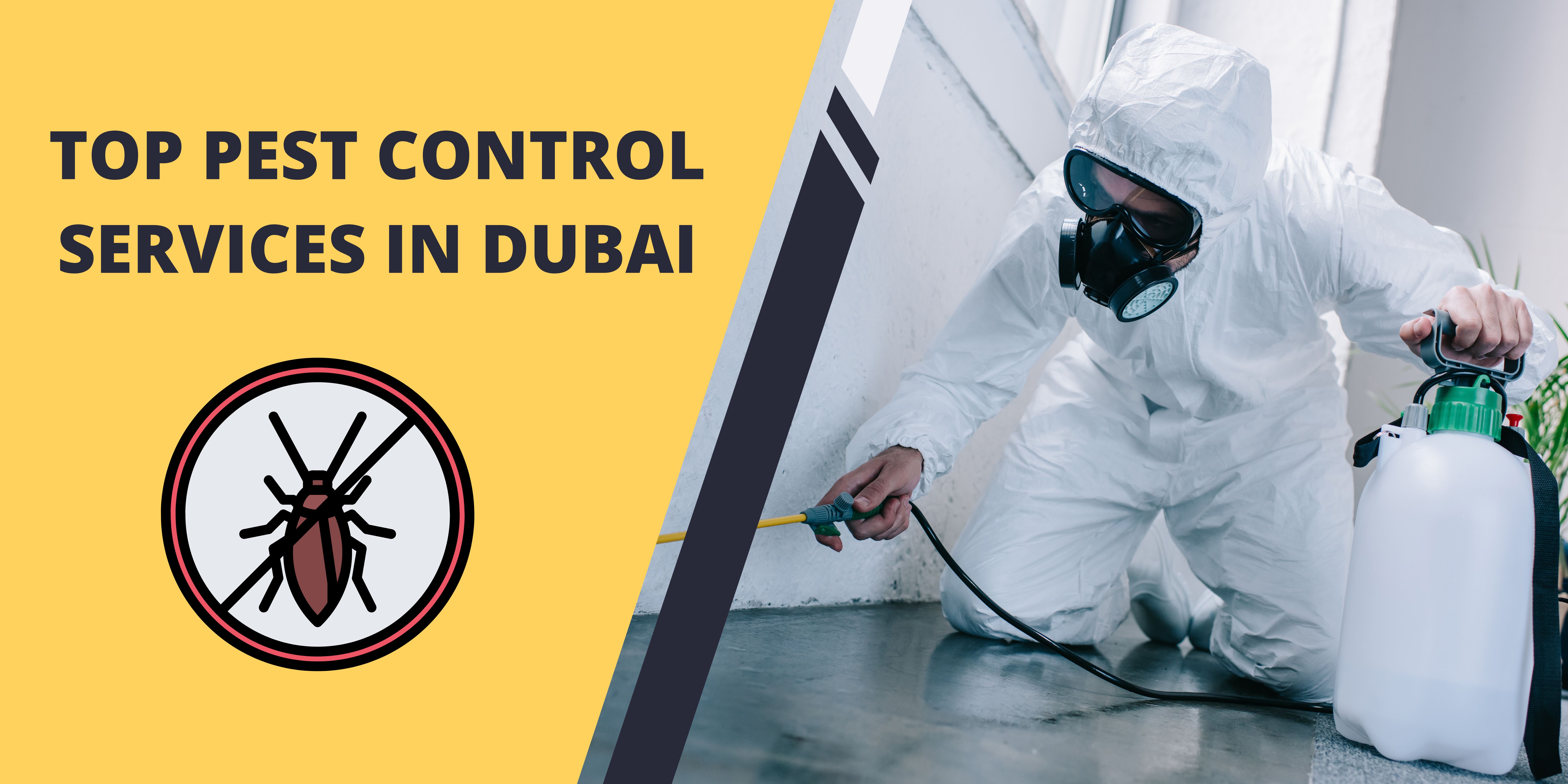 Top Pest Control Services in Dubai