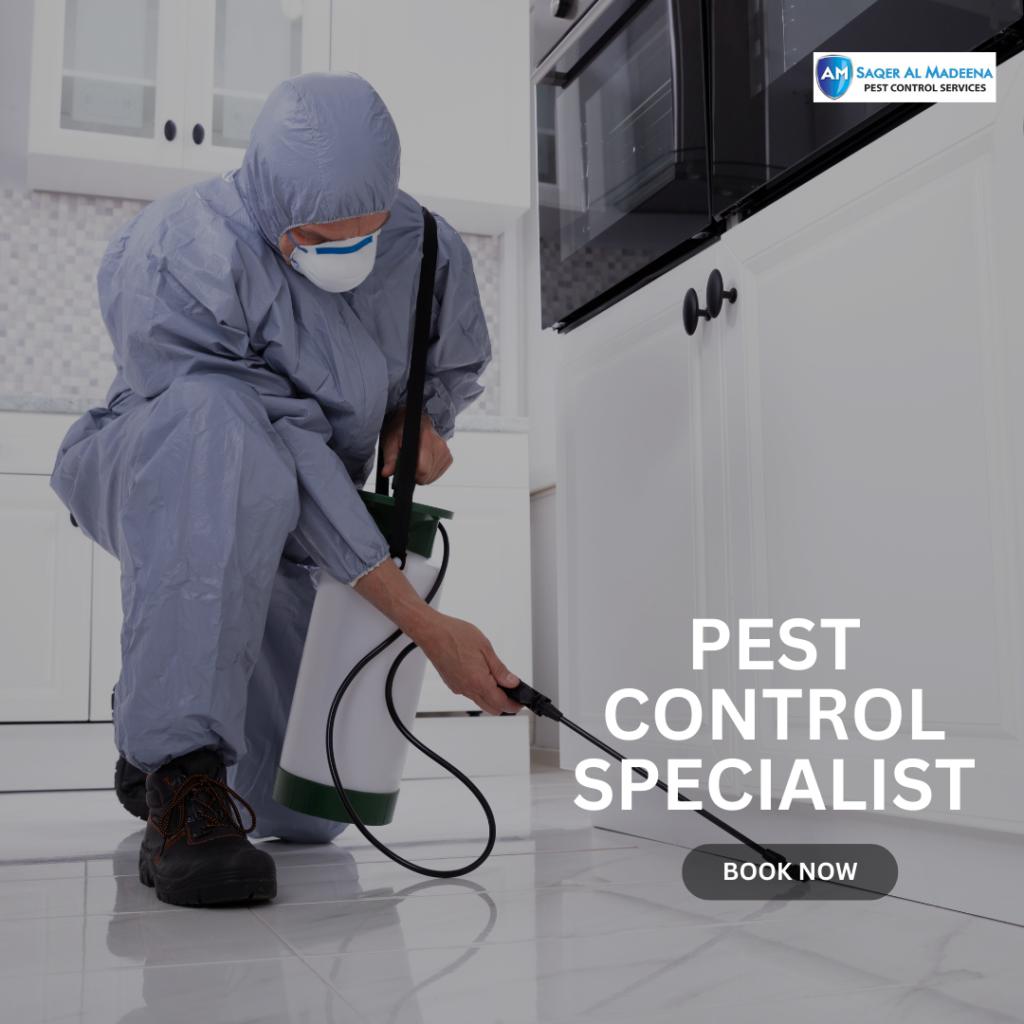 Pest Control in Sharjah Almadeena
