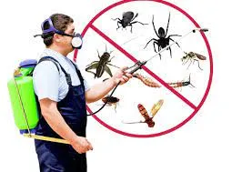 Pest Control In Fujairah 1