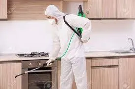 Pest-Control-kitchen
