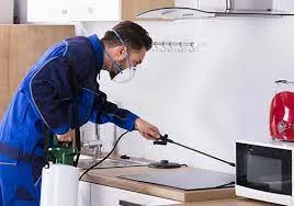 pest control treatments