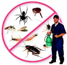 Pest Management Solutions & Services