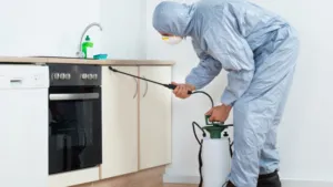 Pest Control Services in Ajman