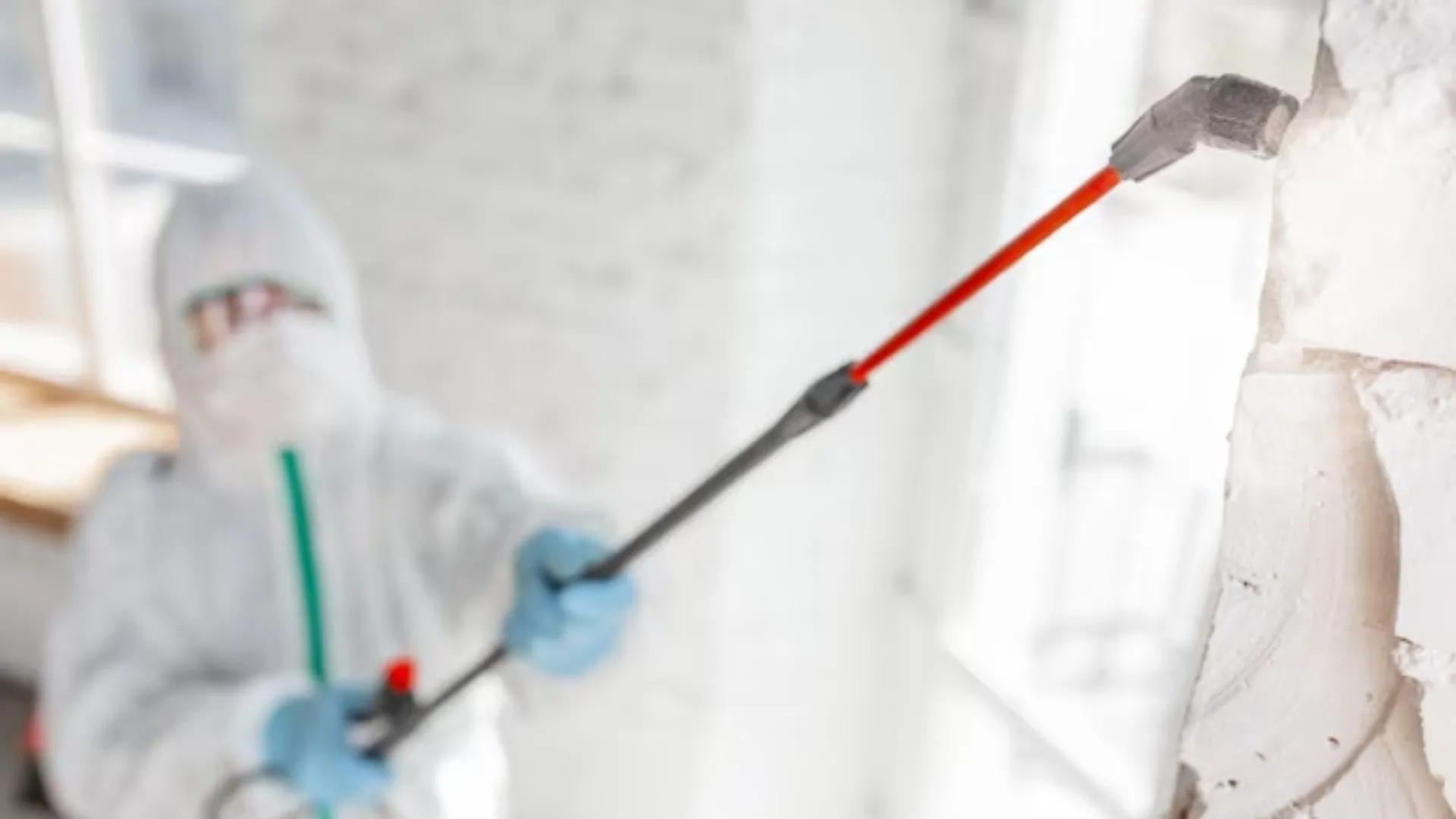 Pest Control In Qatar