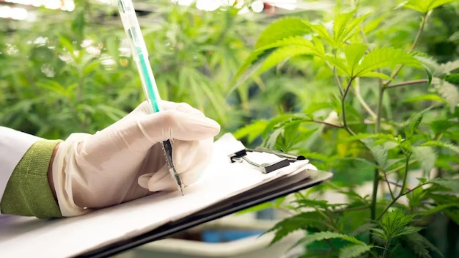 Weed Control for agriculture