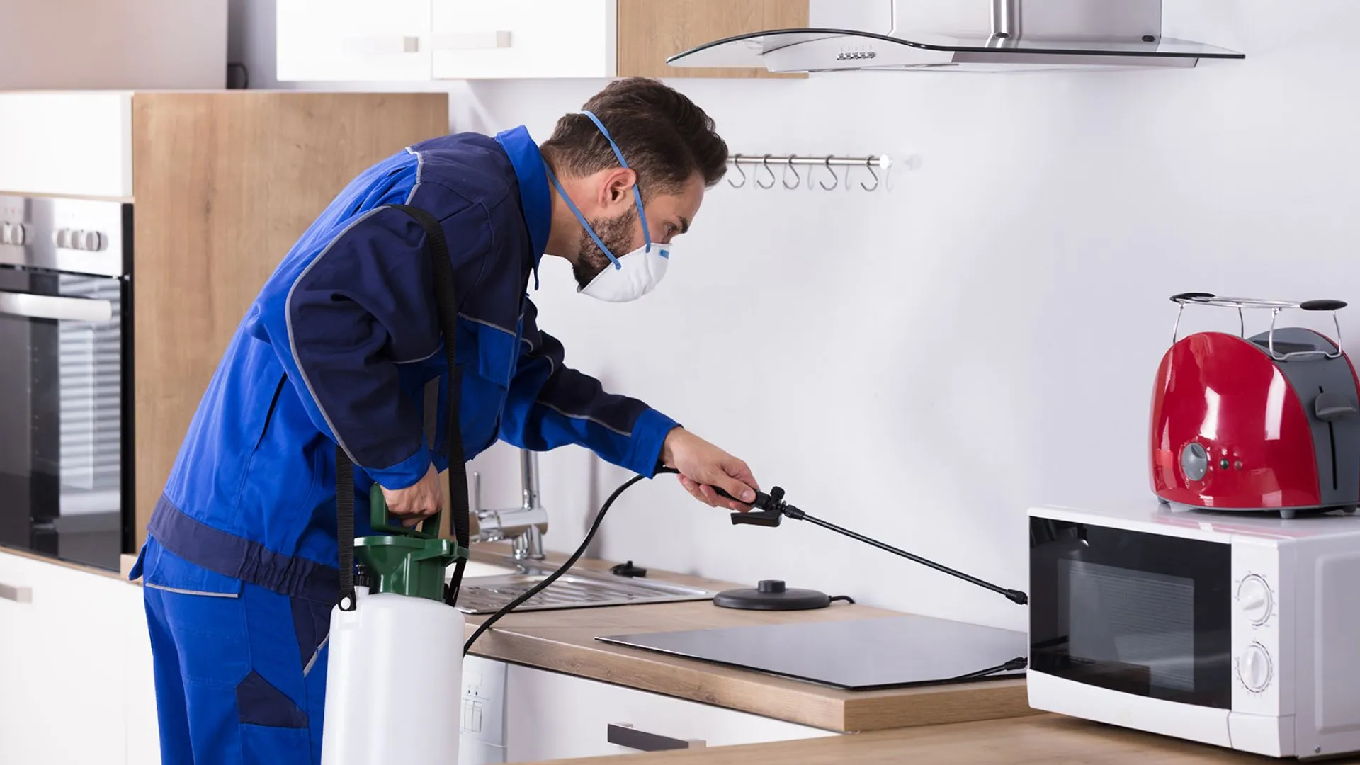 Kitchen Pest Control