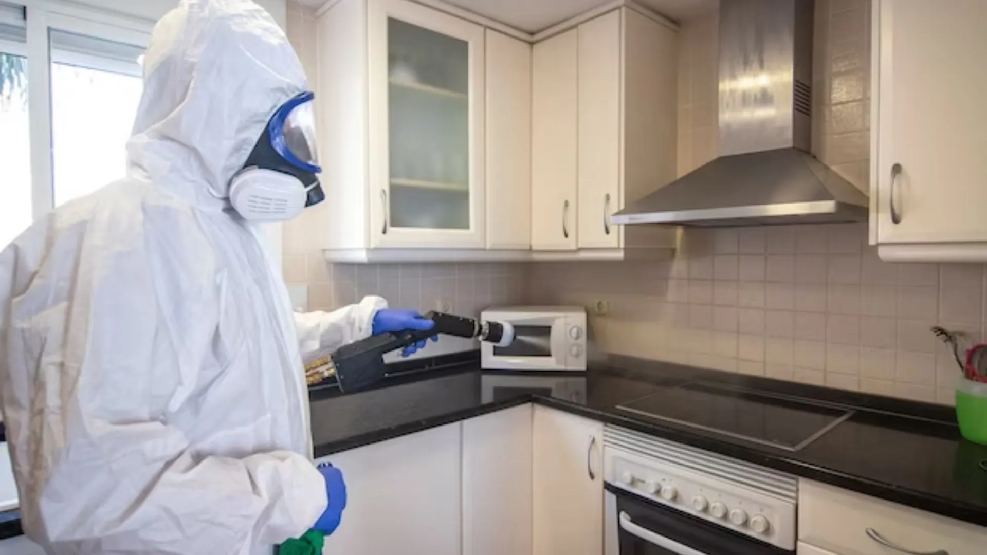kitchen-pest-control-services-dubai