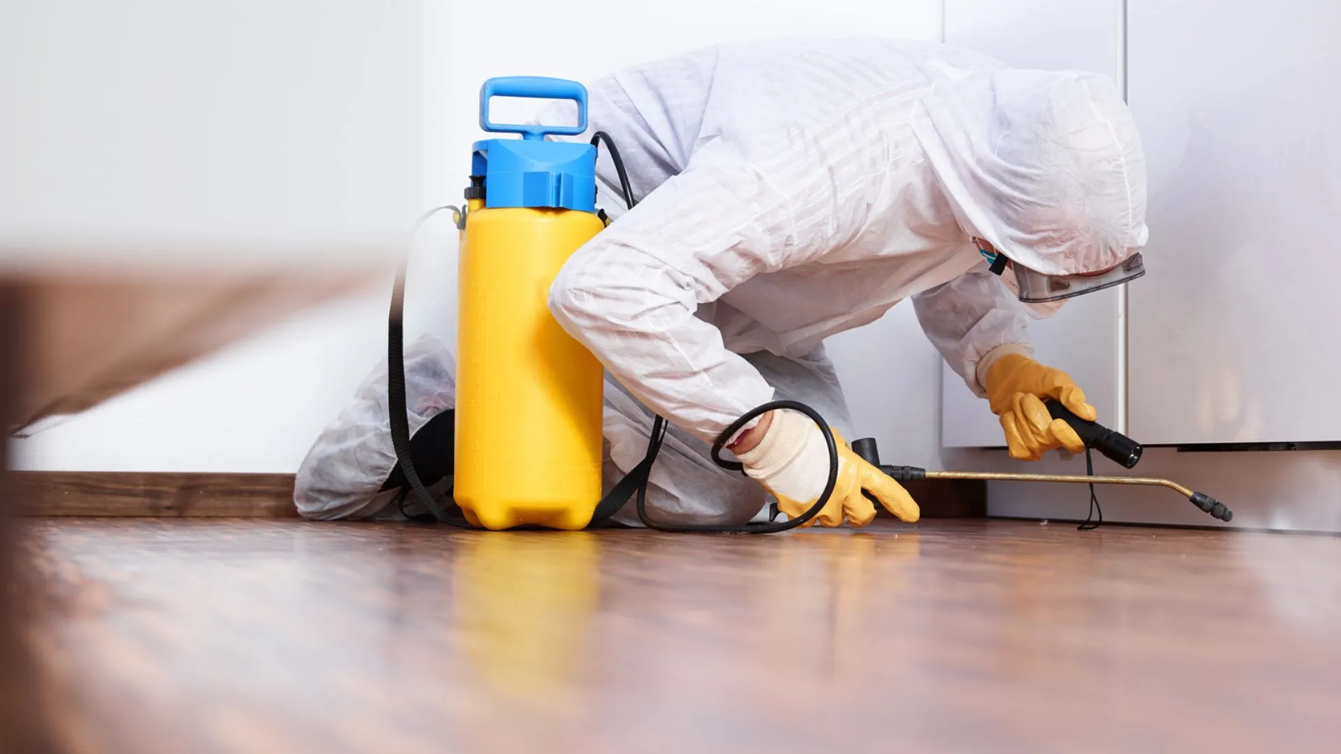 Best pest control Services