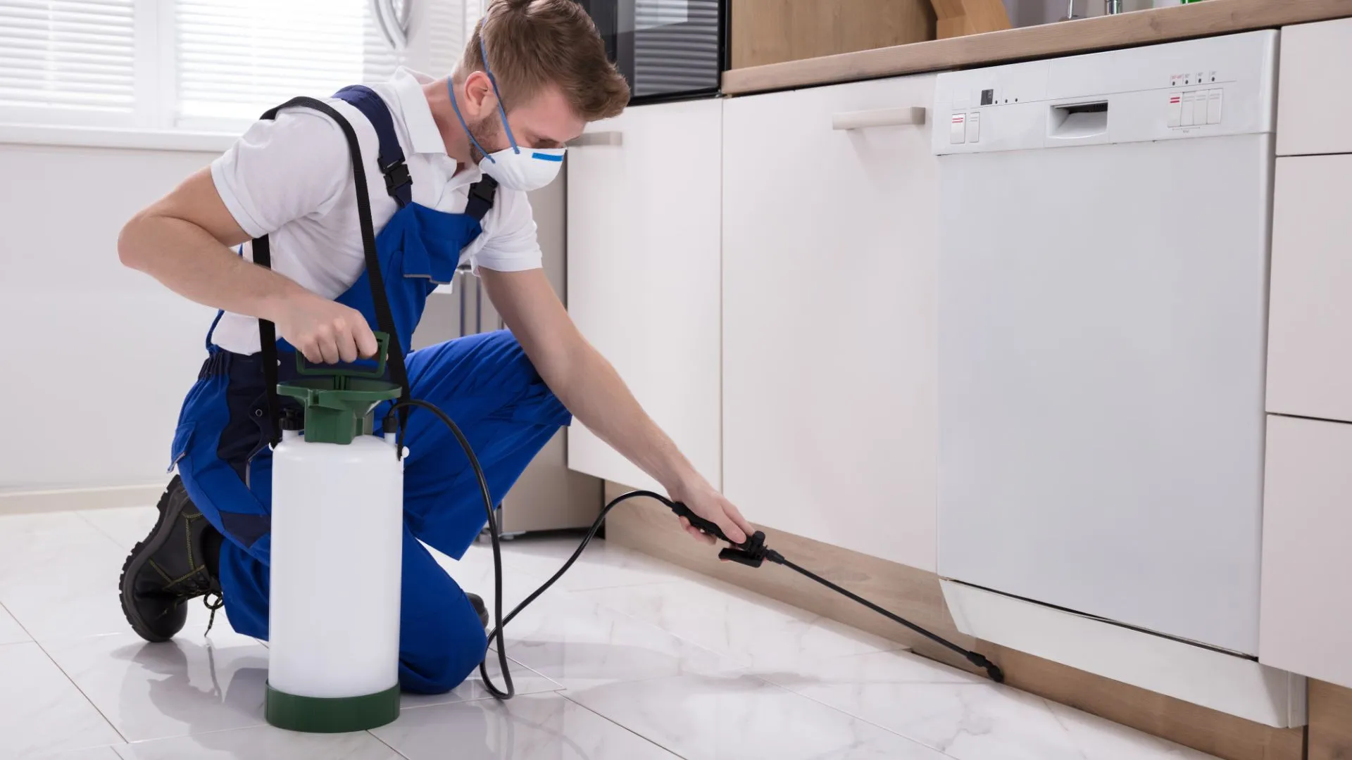 Best pest control Services