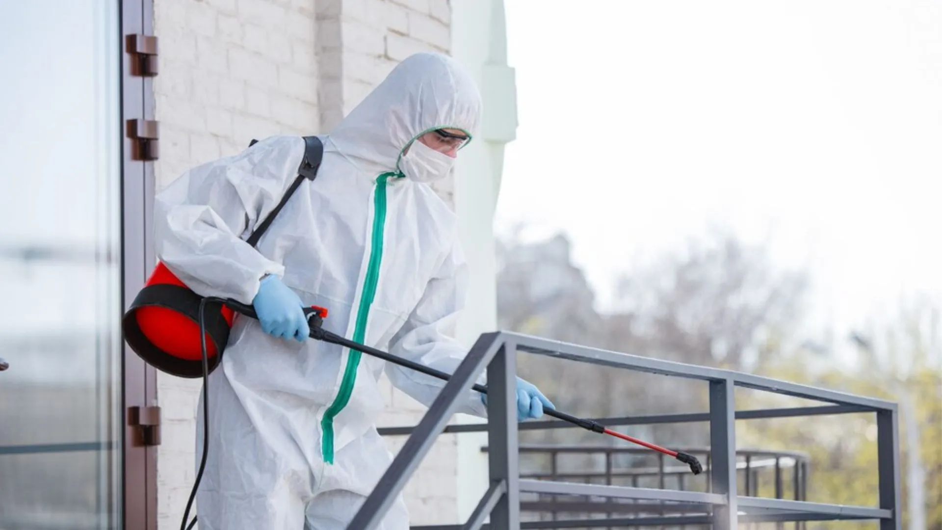 best Pest control Solutions