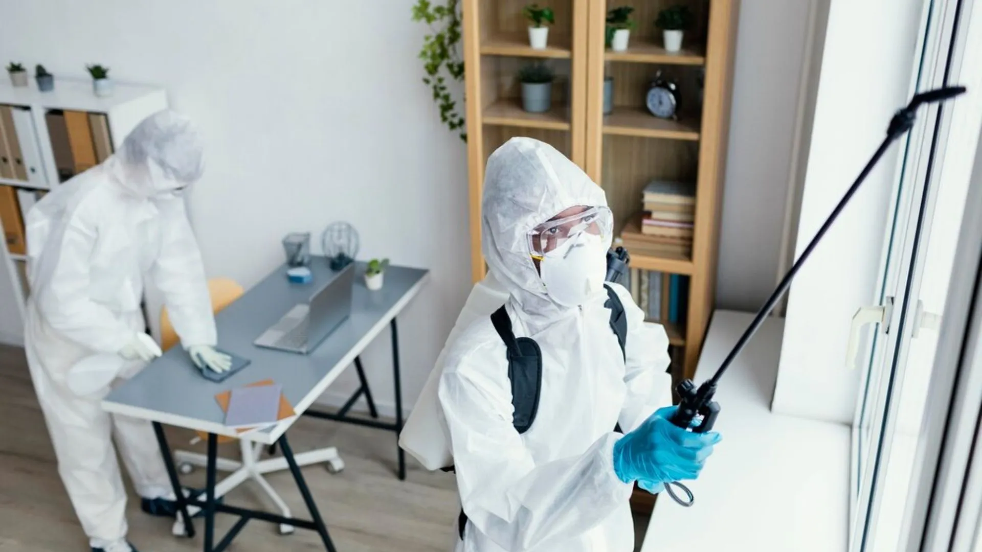 best Pest control Solutions